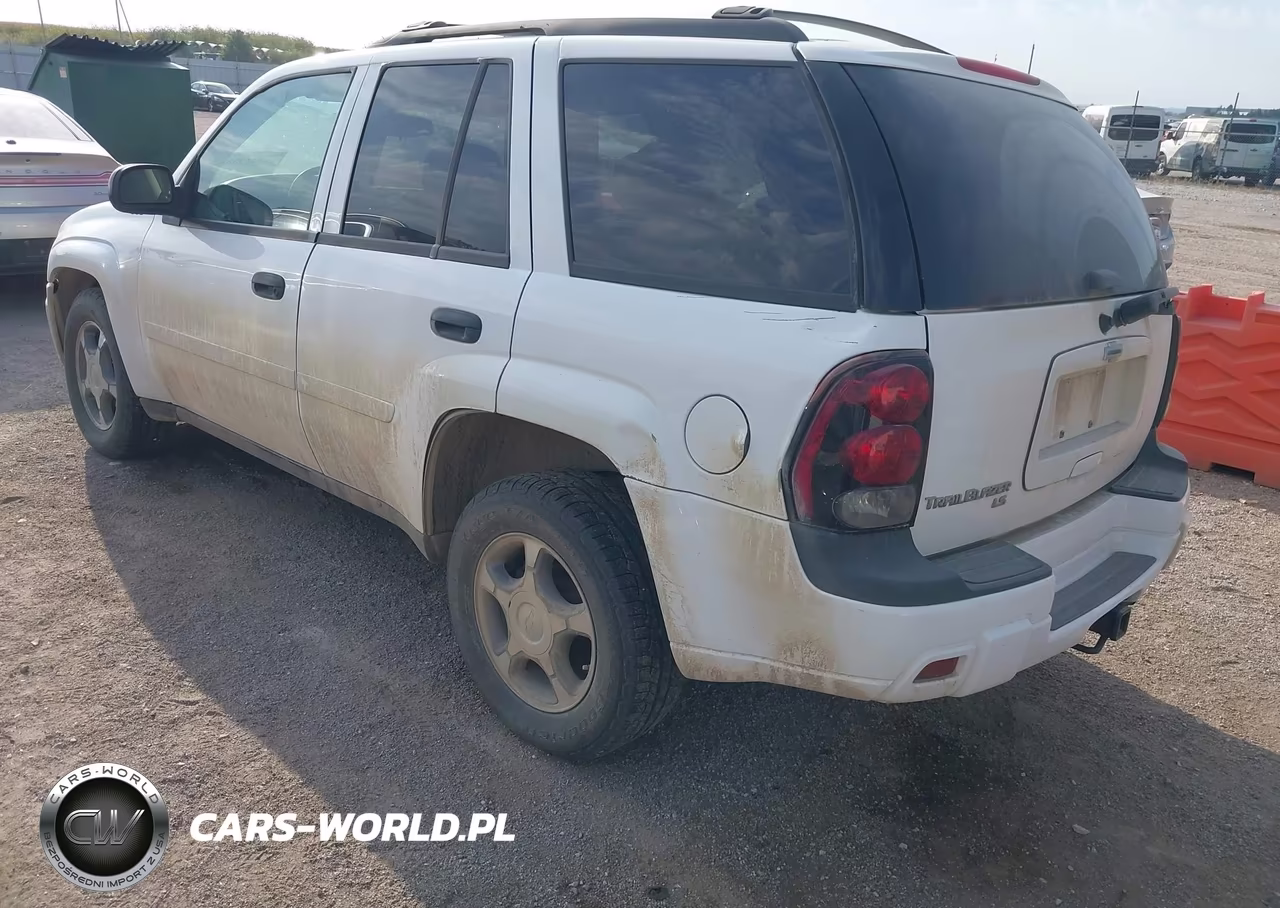 2008 Chevrolet Trailblazer Fleet VIN:1GNDT13SX82171390 - 3