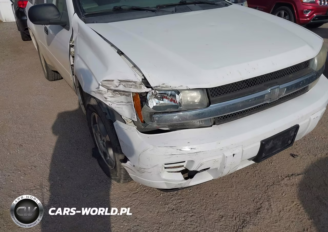 2008 Chevrolet Trailblazer Fleet VIN:1GNDT13SX82171390 - 6