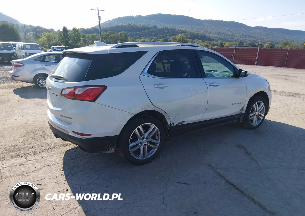 2019 Chevrolet Equinox Premier VIN:2GNAXYEX9K6150954 - 4