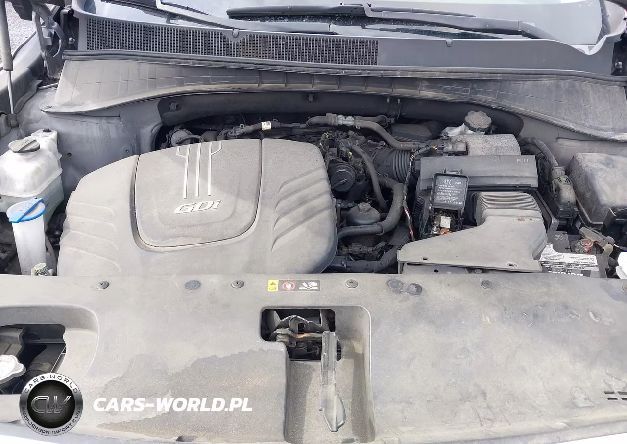 2016 Kia Sorento 3.3L Lx VIN:5XYPGDA55GG090844 - 10