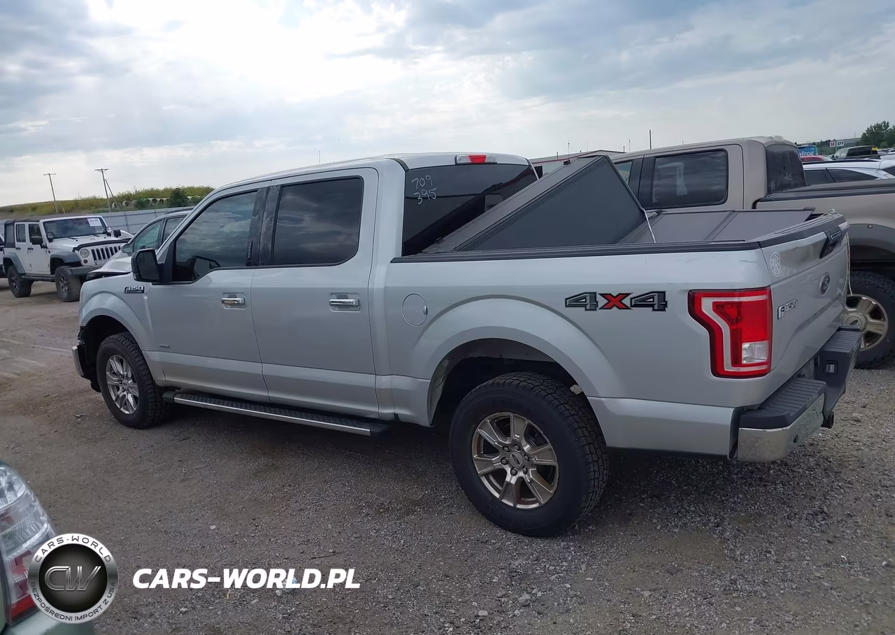 2016 Ford F-150 Xlt VIN:1FTEW1EP0GKD94615 - 15