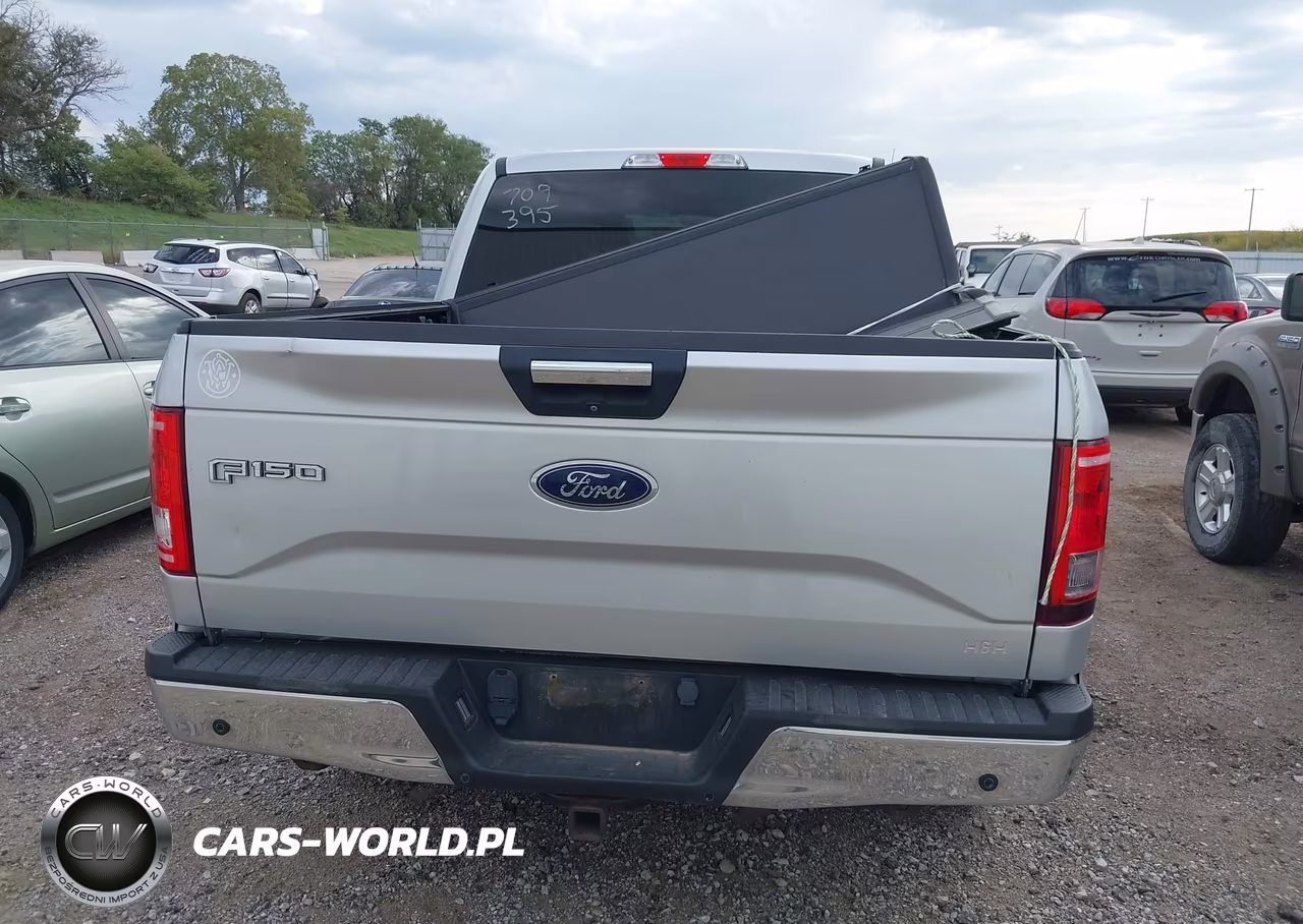 2016 Ford F-150 Xlt VIN:1FTEW1EP0GKD94615 - 17
