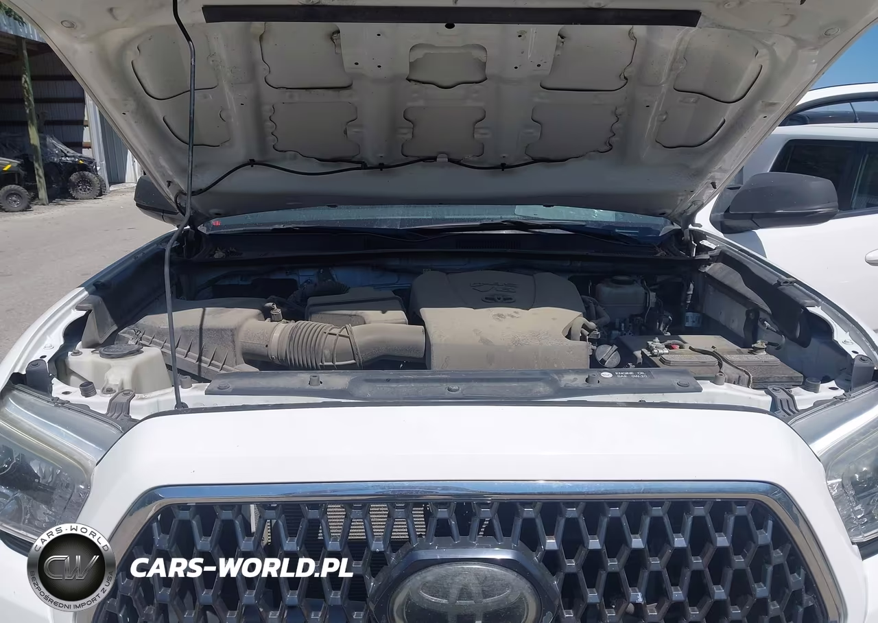 2019 Toyota Tacoma Trd Off Road VIN:3TMDZ5BN8KM062629 - 10