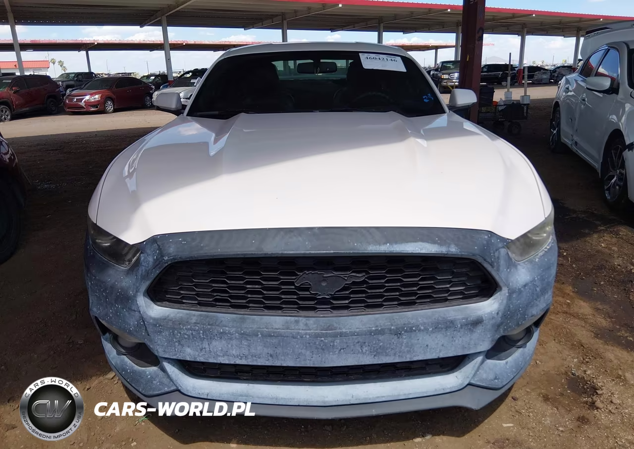 2017 Ford Mustang Ecoboost VIN:1FA6P8TH0H5227165 - 13