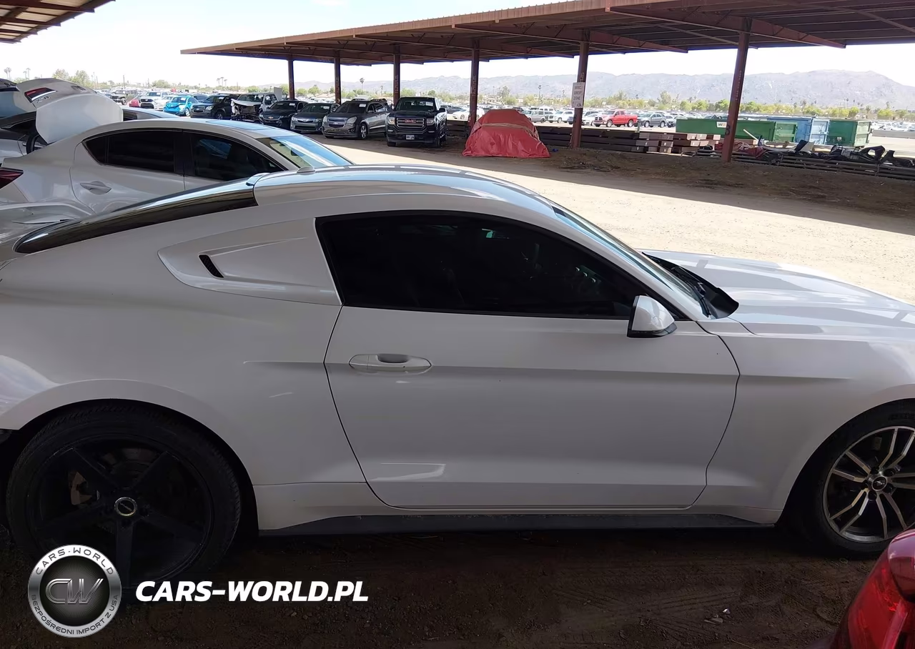 2017 Ford Mustang Ecoboost VIN:1FA6P8TH0H5227165 - 14