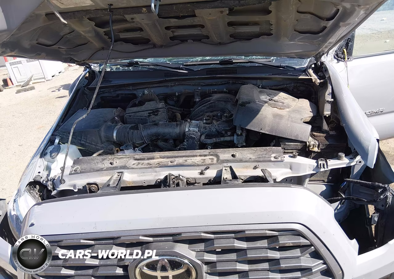 2020 Toyota Tacoma Trd Sport VIN:3TMCZ5AN7LM349703 - 10