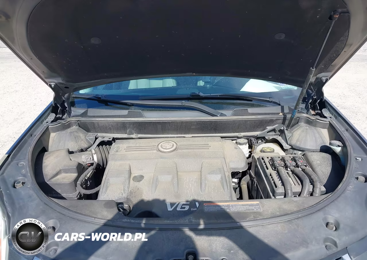 2013 Cadillac Srx Standard VIN:3GYFNAE38DS546364 - 10