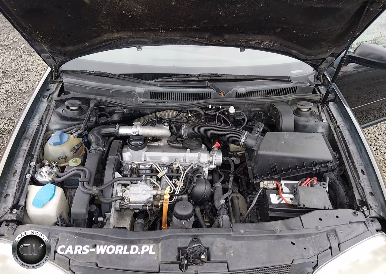 2002 Volkswagen Golf Gls Tdi VIN:9BWGP61J324035654 - 10