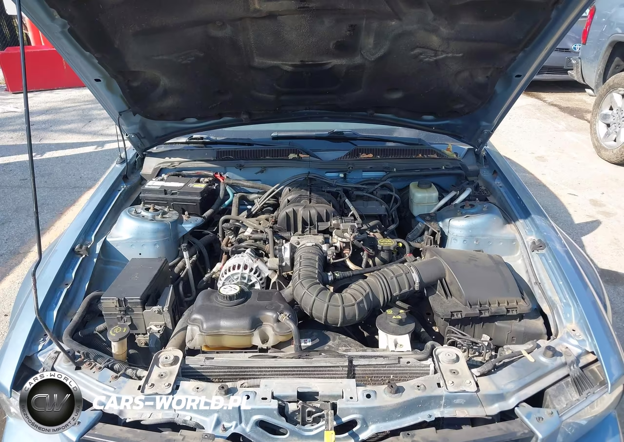 2005 Ford Mustang V6 Deluxe-V6 Premium VIN:1ZVFT80N555159731 - 10