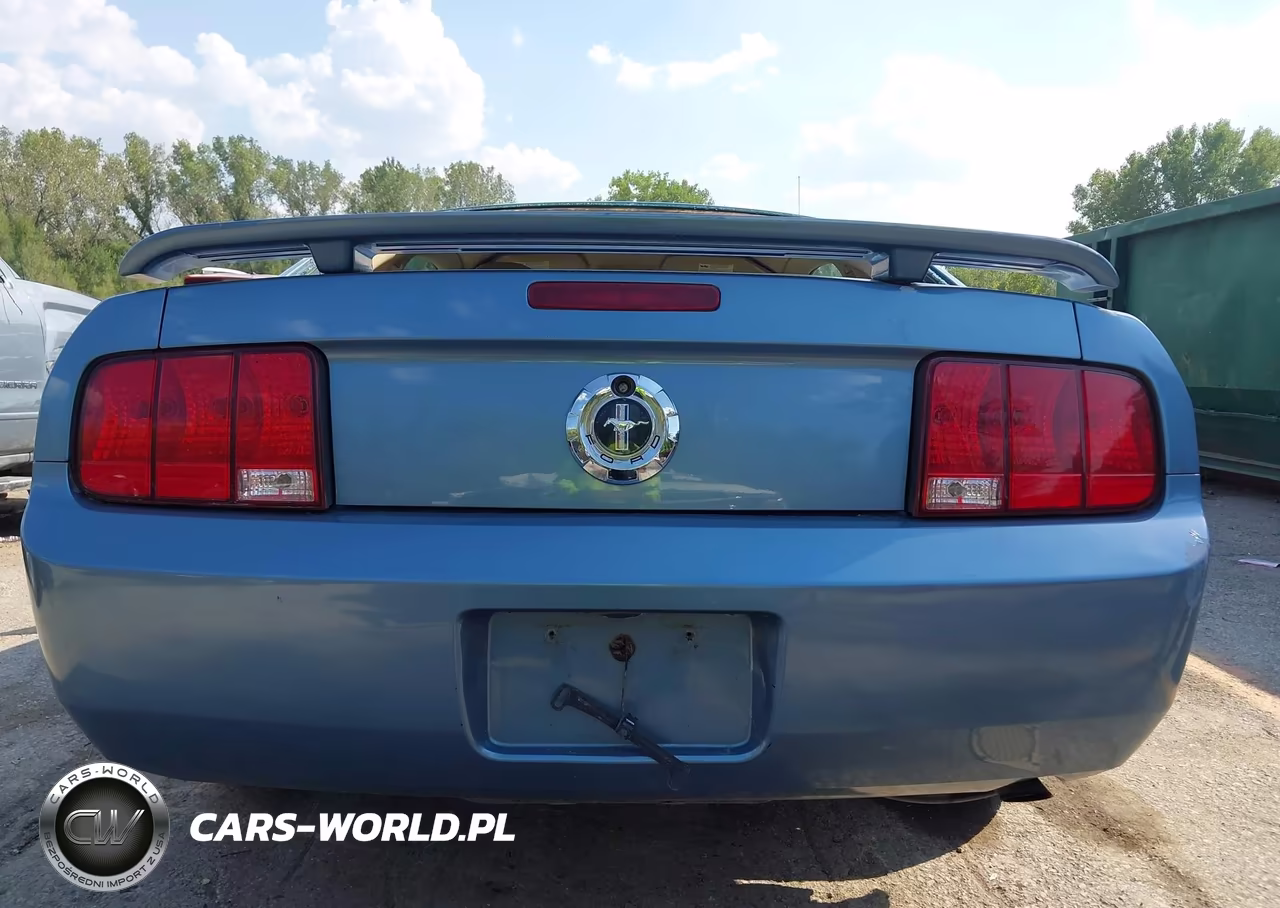 2005 Ford Mustang V6 Deluxe-V6 Premium VIN:1ZVFT80N555159731 - 13