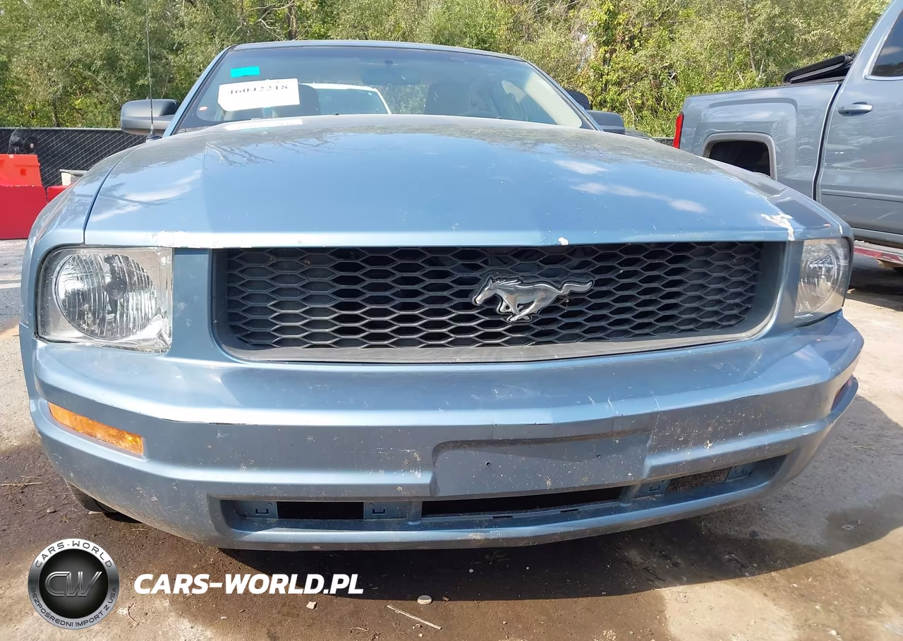 2005 Ford Mustang V6 Deluxe-V6 Premium VIN:1ZVFT80N555159731 - 14