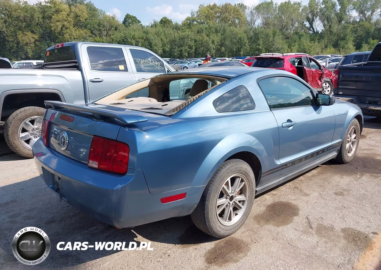 2005 Ford Mustang V6 Deluxe-V6 Premium VIN:1ZVFT80N555159731 - 4