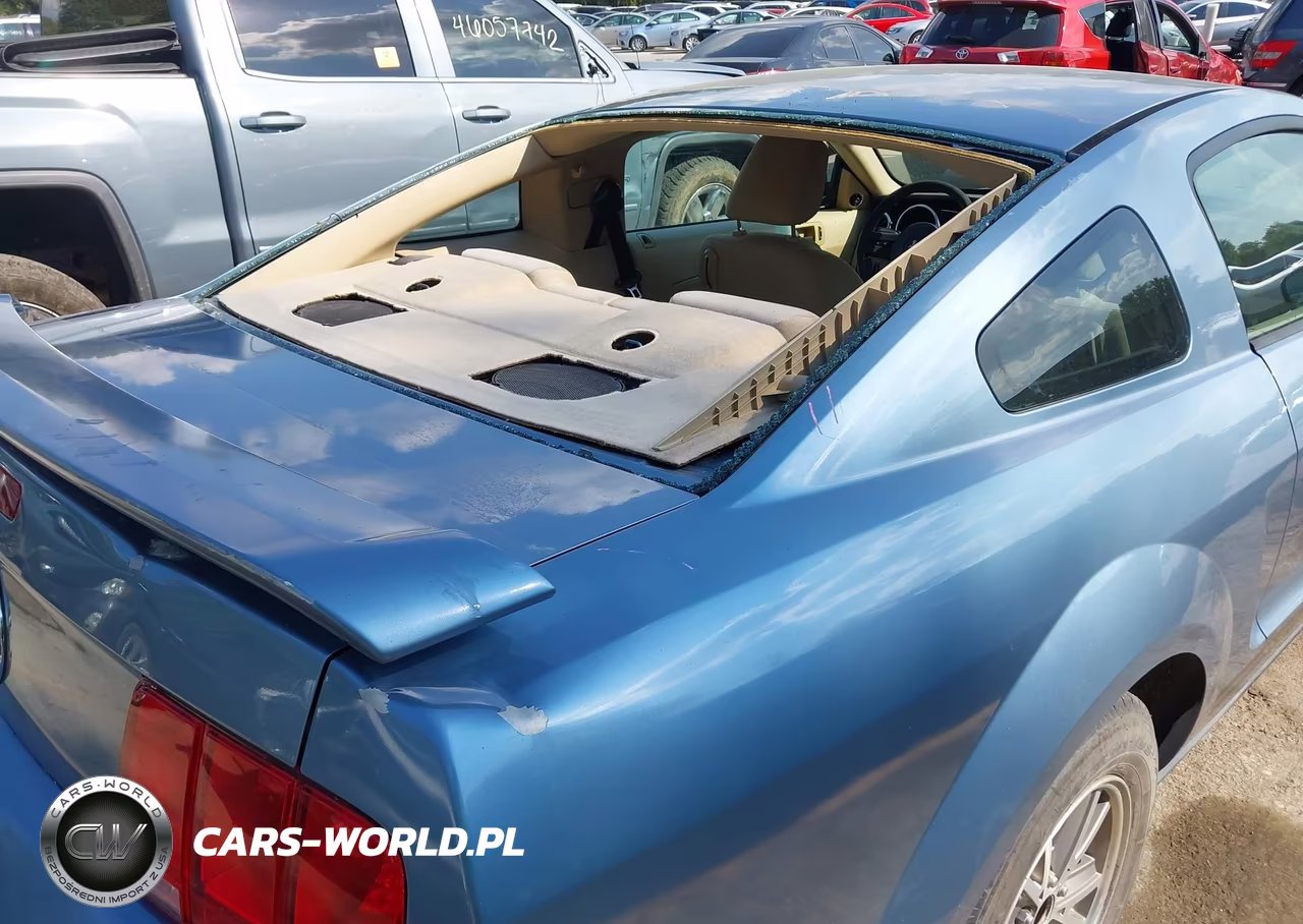 2005 Ford Mustang V6 Deluxe-V6 Premium VIN:1ZVFT80N555159731 - 6