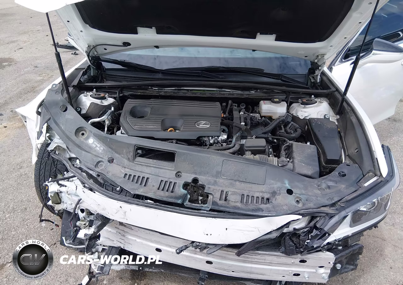 2025 Lexus Es 300H VIN:58ADA1C10SU060854 - 10