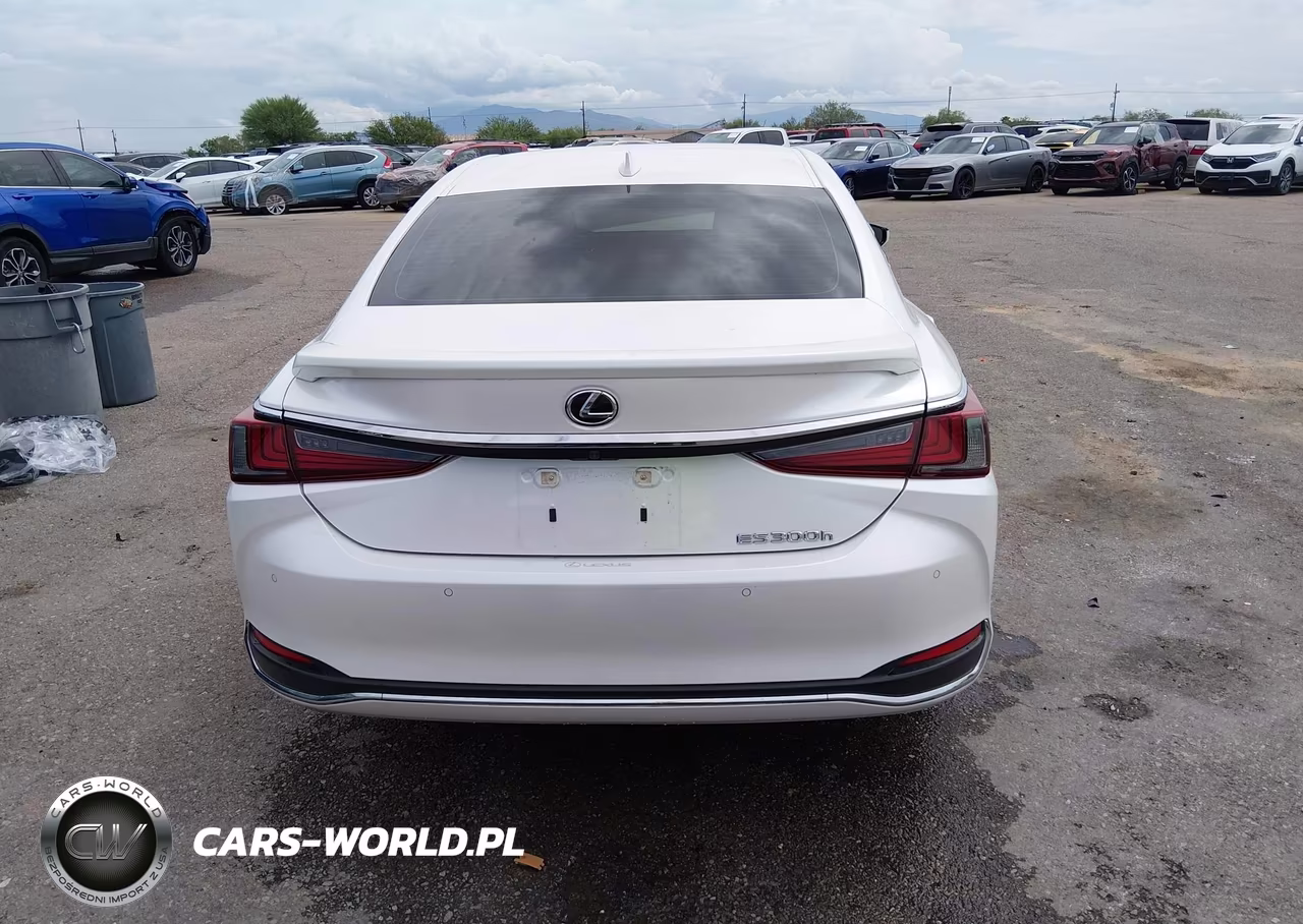 2025 Lexus Es 300H VIN:58ADA1C10SU060854 - 17