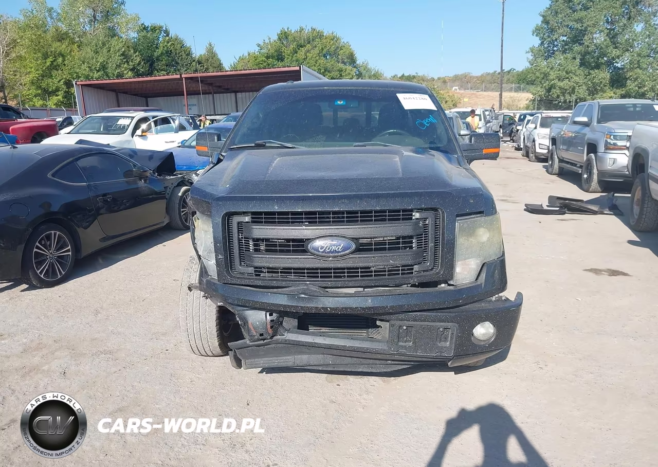 2014 Ford F-150 Fx2 VIN:1FTFW1CT7EFB00900 - 12