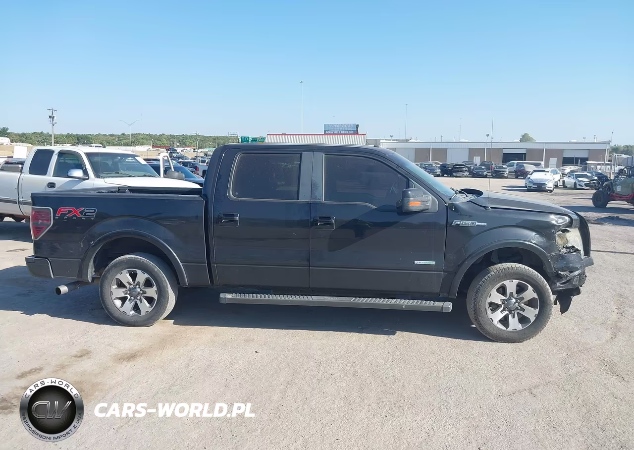 2014 Ford F-150 Fx2 VIN:1FTFW1CT7EFB00900 - 13
