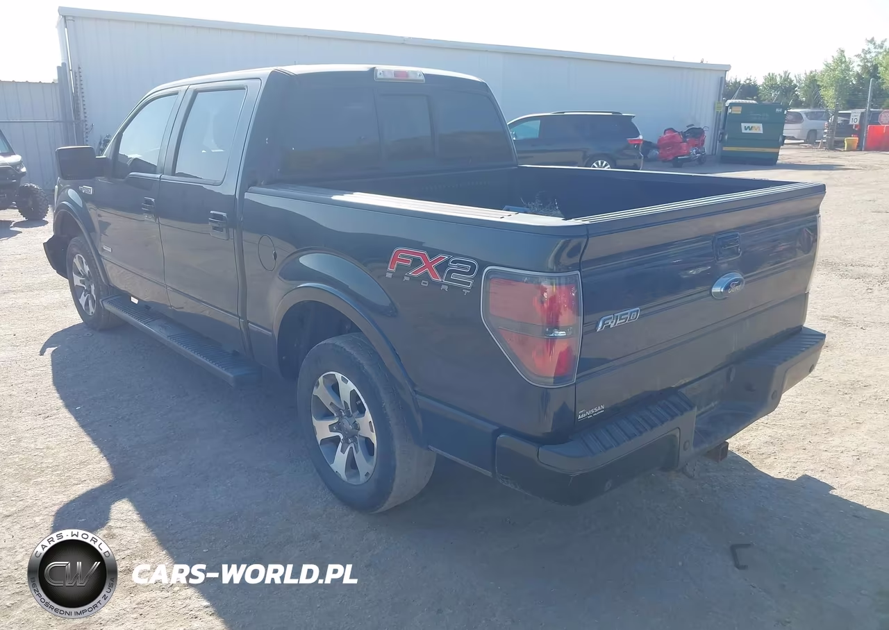 2014 Ford F-150 Fx2 VIN:1FTFW1CT7EFB00900 - 3