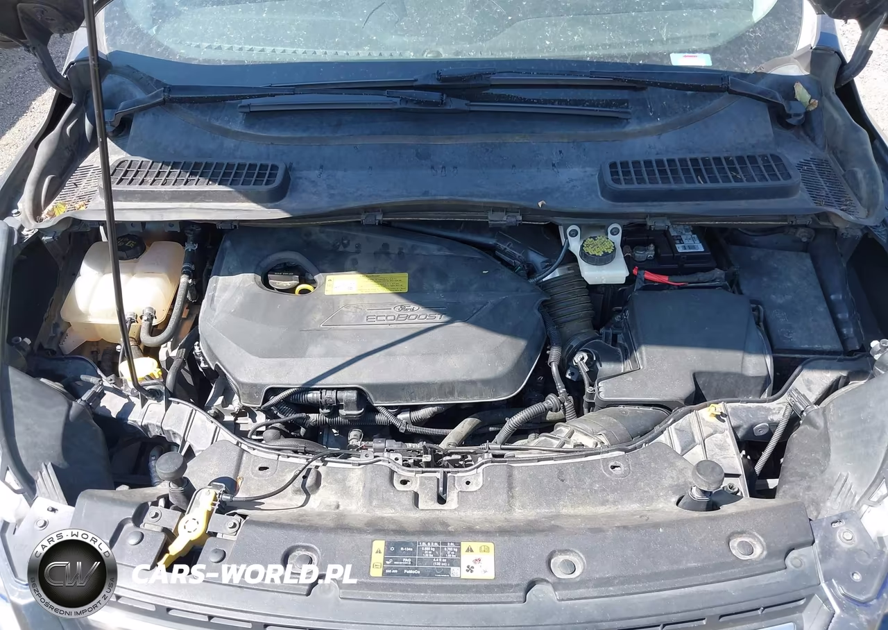 2014 Ford Escape Se VIN:1FMCU9GX2EUA29570 - 10