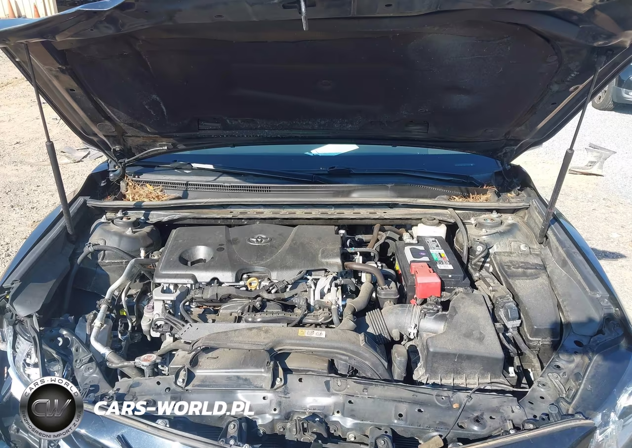 2019 Toyota Camry Se VIN:4T1B11HK1KU724157 - 10