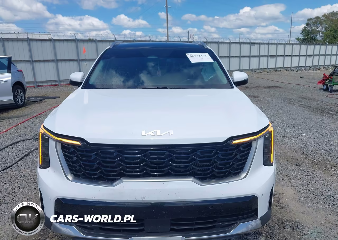 2025 Kia Sorento Ex VIN:5XYRHDJF5SG356371 - 12