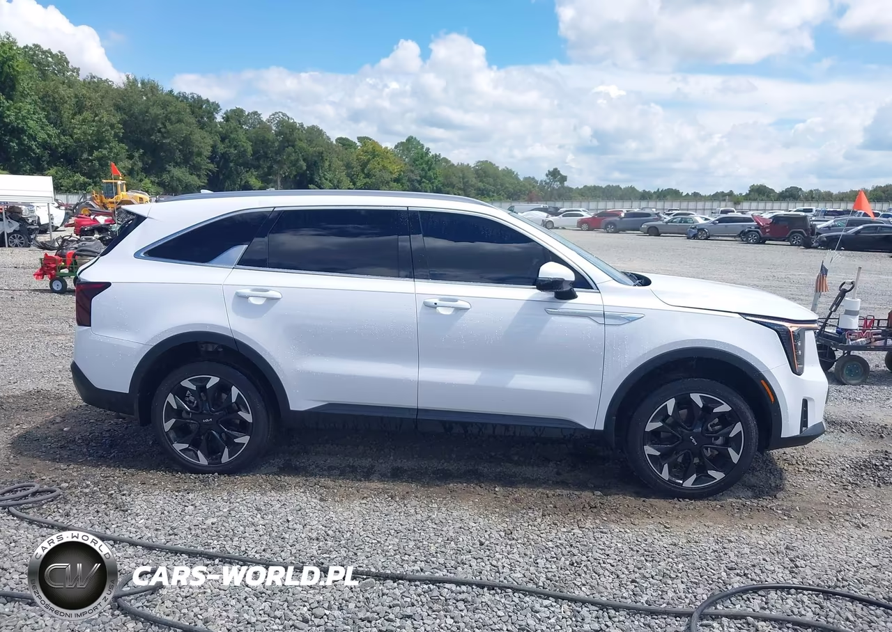2025 Kia Sorento Ex VIN:5XYRHDJF5SG356371 - 13
