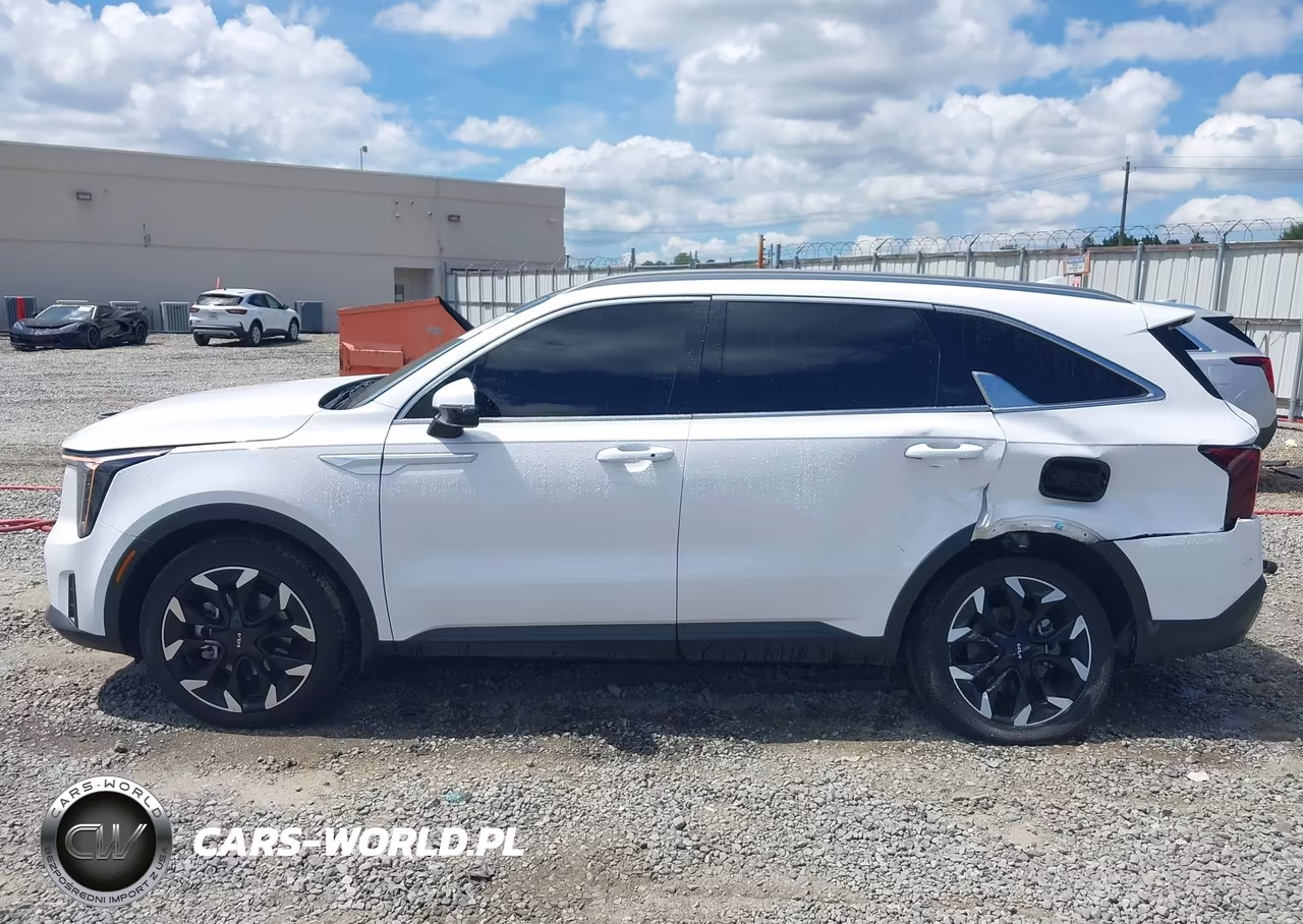 2025 Kia Sorento Ex VIN:5XYRHDJF5SG356371 - 14
