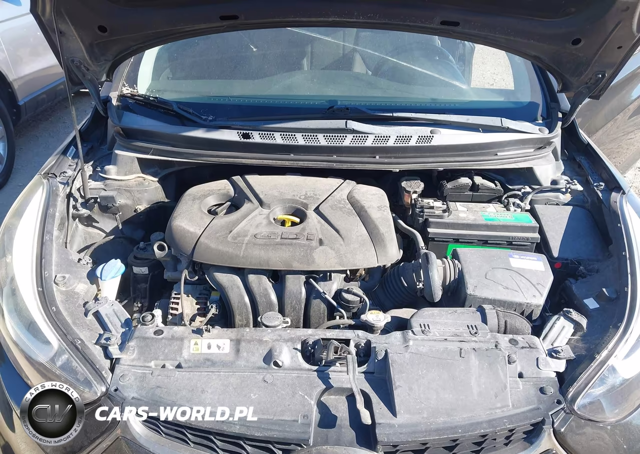 2014 Hyundai Elantra VIN:KMHDH6AH2EU024572 - 10