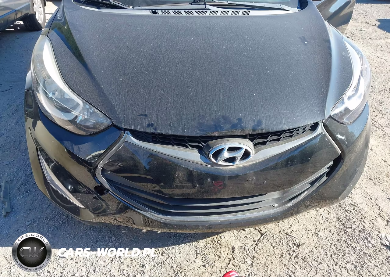 2014 Hyundai Elantra VIN:KMHDH6AH2EU024572 - 6