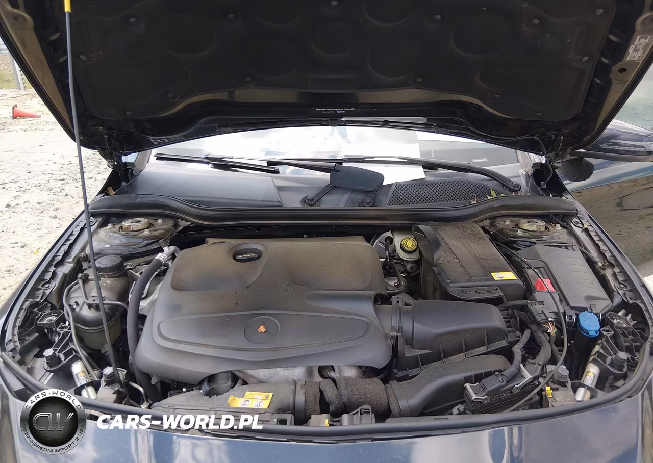 2014 Mercedes-Benz Cla 250 VIN:WDDSJ4EBXEN060780 - 10