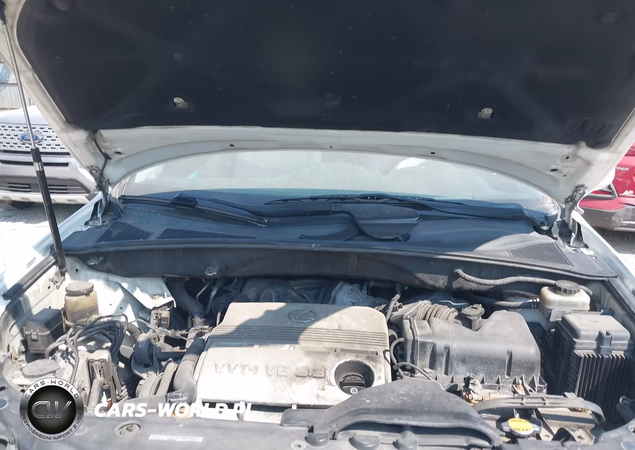 2005 Lexus Rx 330 VIN:JTJHA31UX50085310 - 10