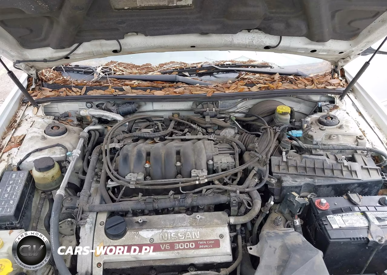 2001 Nissan Maxima Gle VIN:JN1CA31D61T824858 - 10