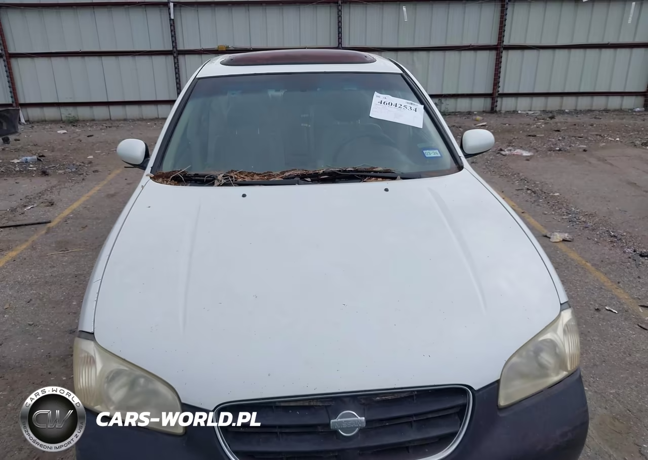 2001 Nissan Maxima Gle VIN:JN1CA31D61T824858 - 6