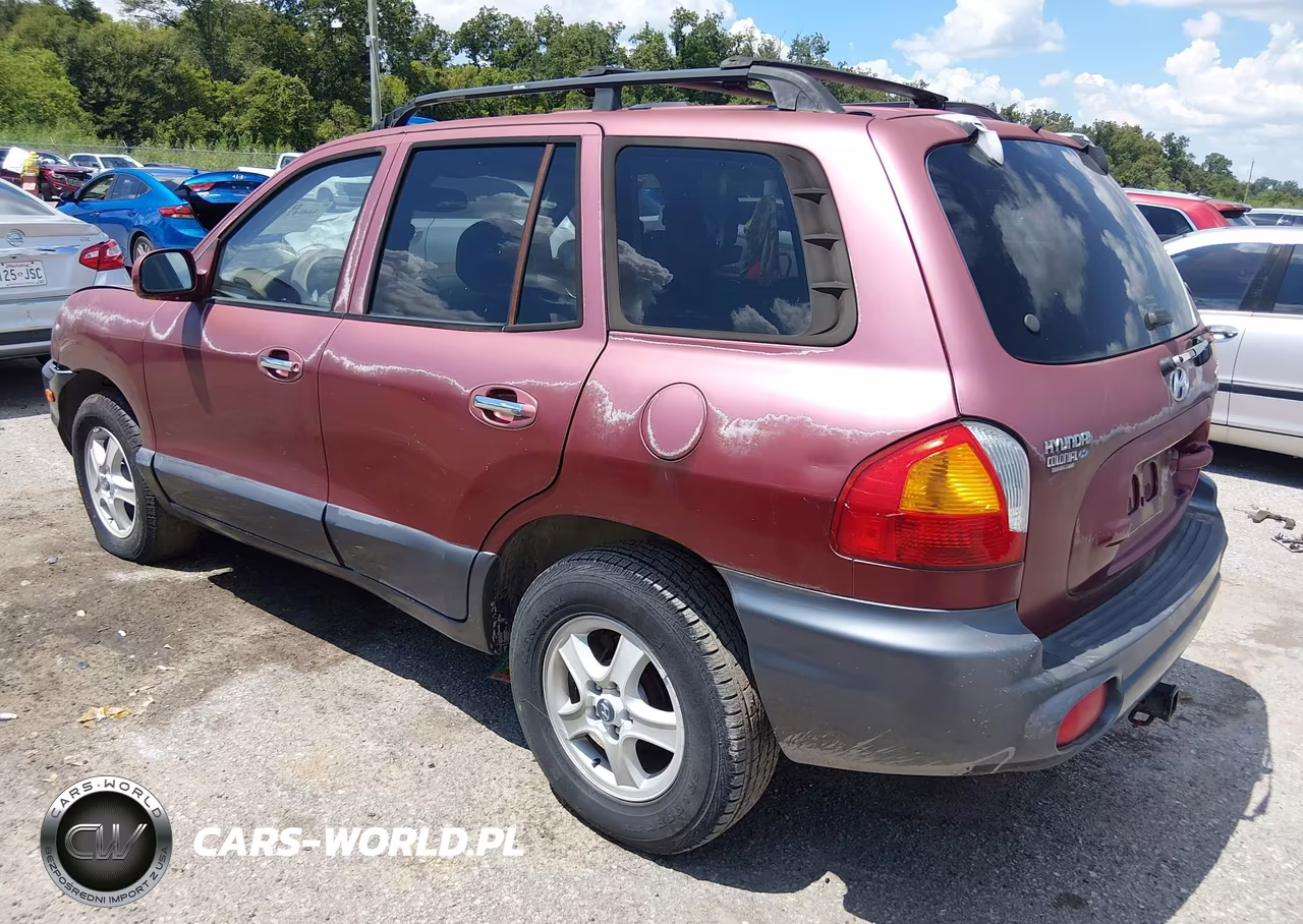 2004 Hyundai Santa Fe Gls-Lx VIN:KM8SC13E74U705045 - 3
