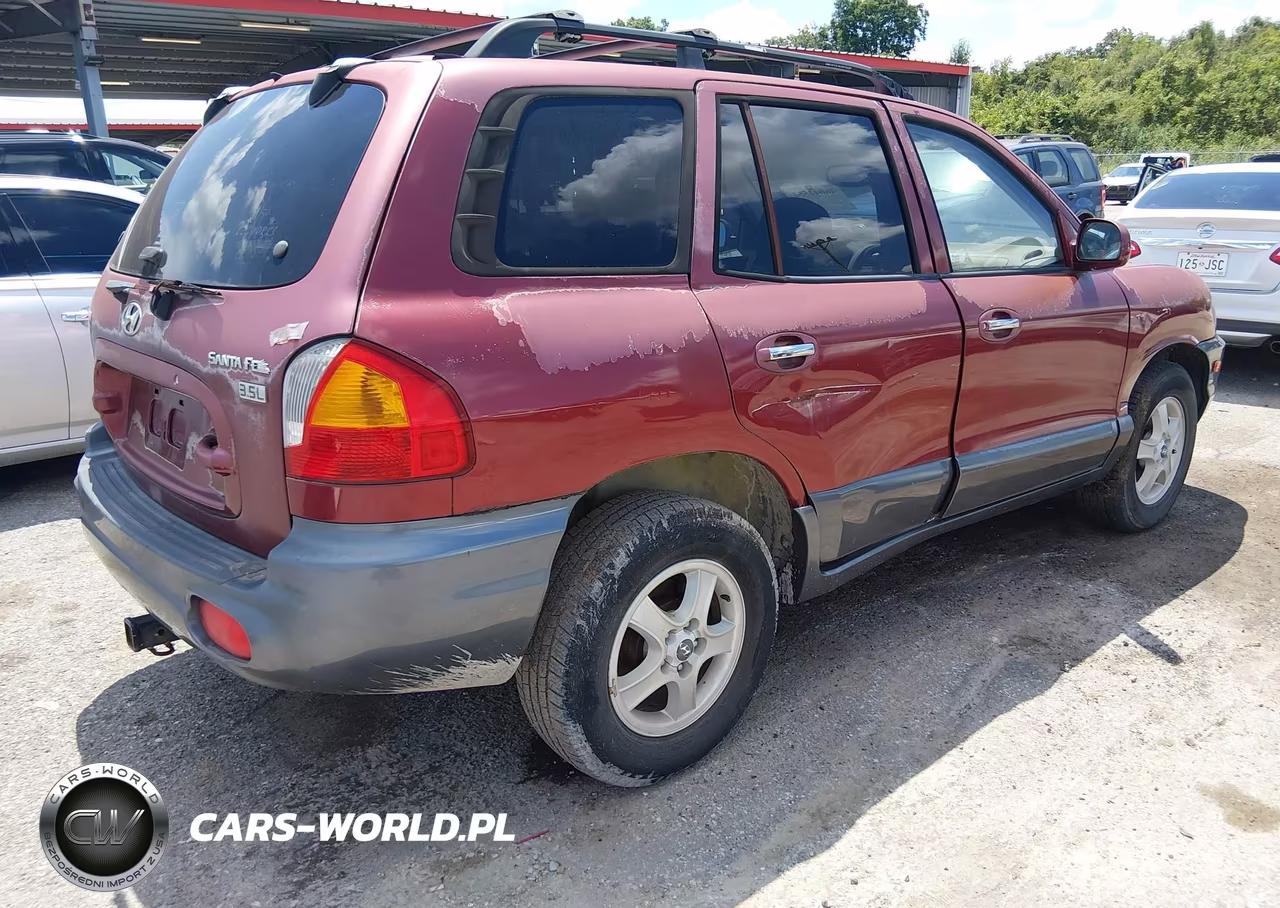 2004 Hyundai Santa Fe Gls-Lx VIN:KM8SC13E74U705045 - 4