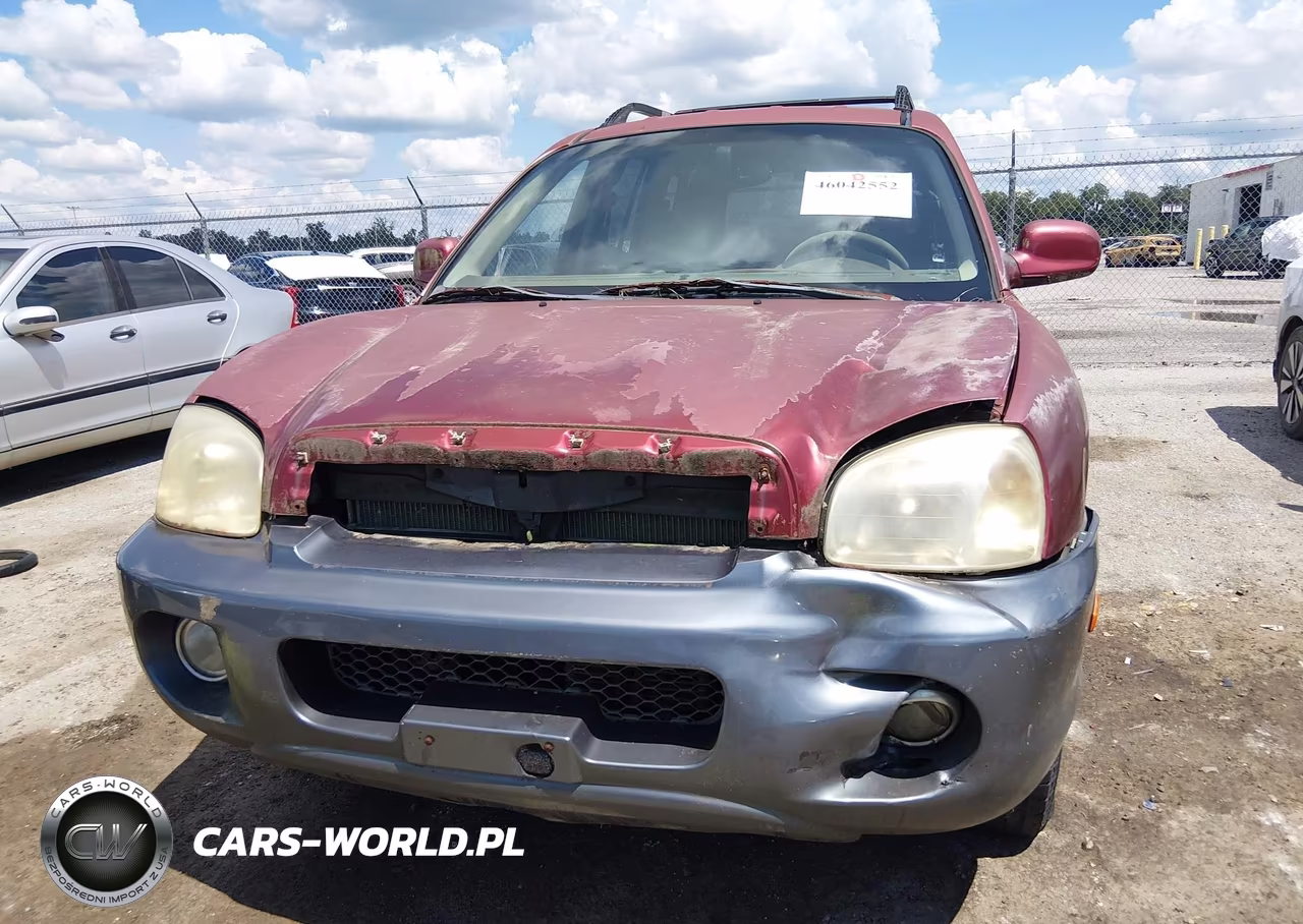 2004 Hyundai Santa Fe Gls-Lx VIN:KM8SC13E74U705045 - 6