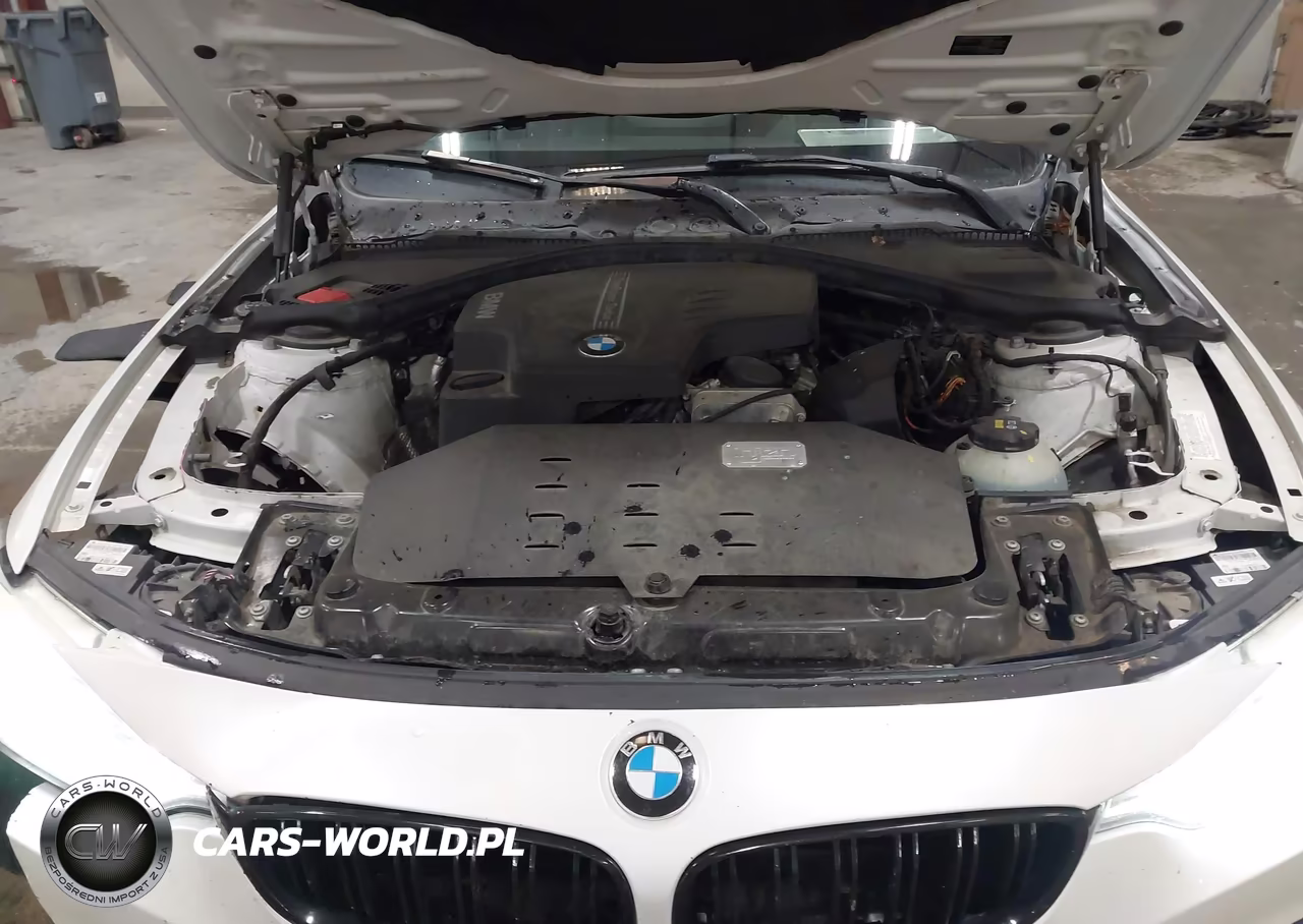 2015 BMW 428I VIN:WBA3N3C59FK232470 - 10