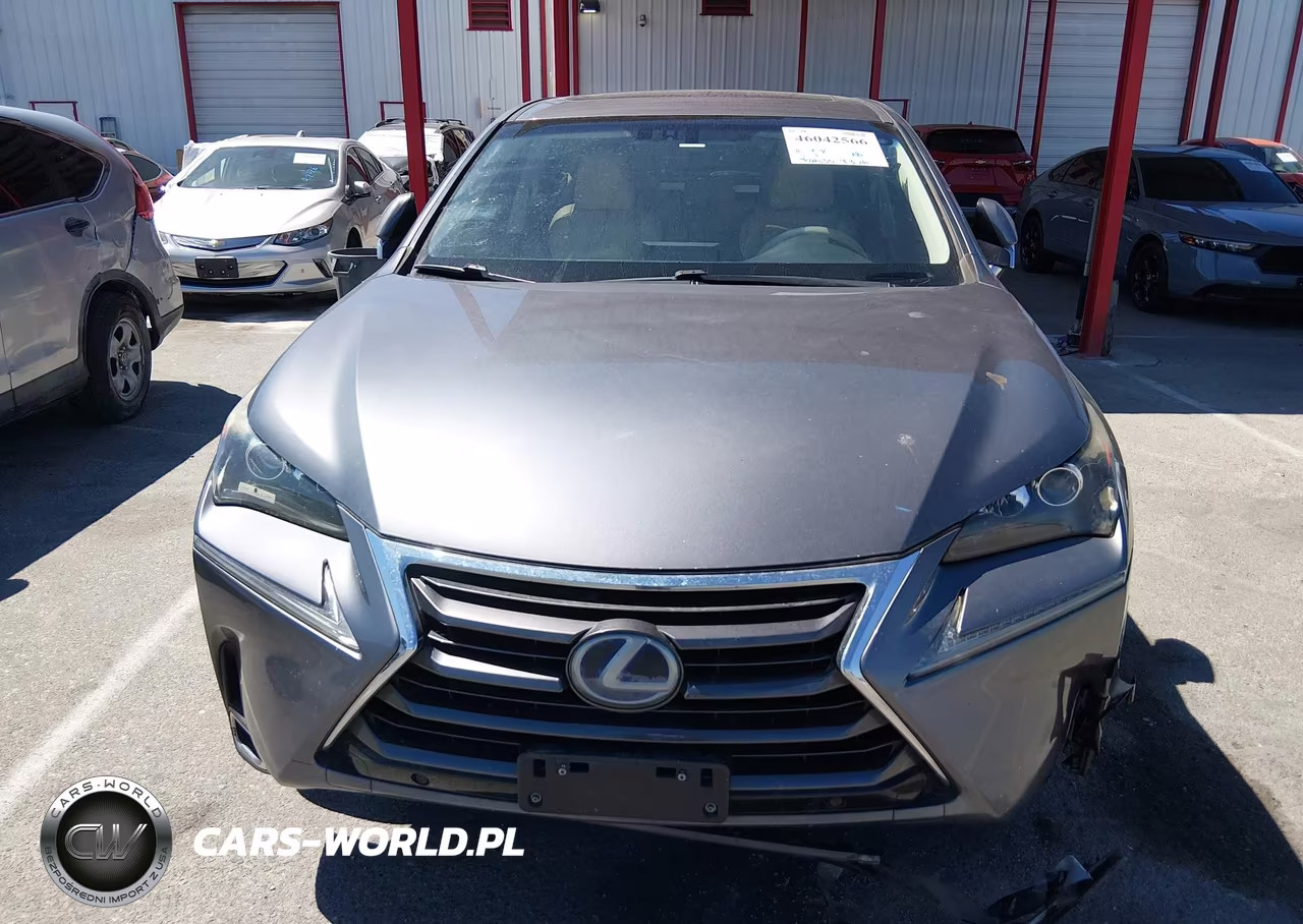 2015 Lexus Nx 300H VIN:JTJYWRBZ8F2005510 - 12