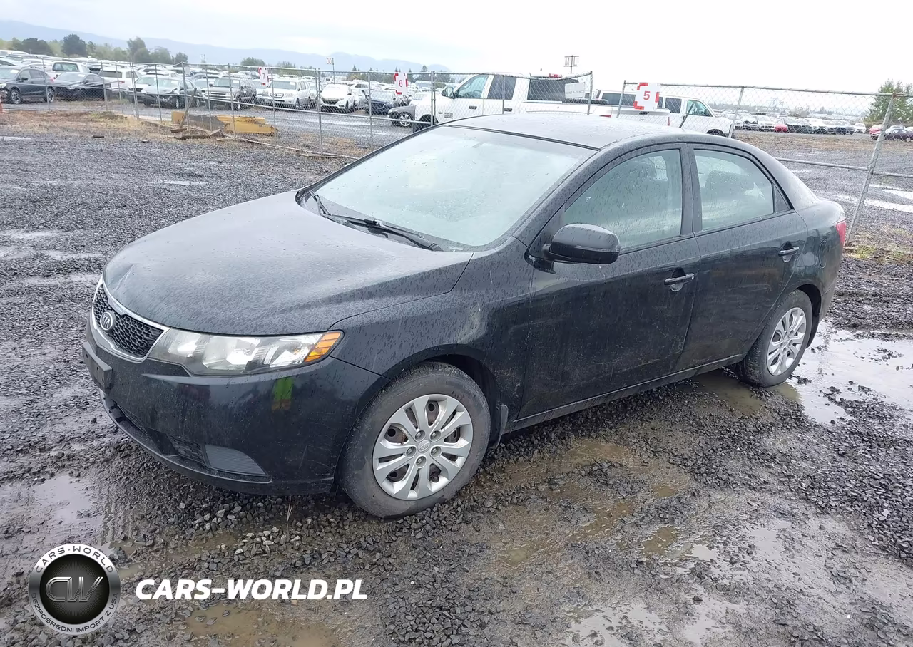 2013 Kia Forte Ex VIN:KNAFU4A29D5741307 - 2