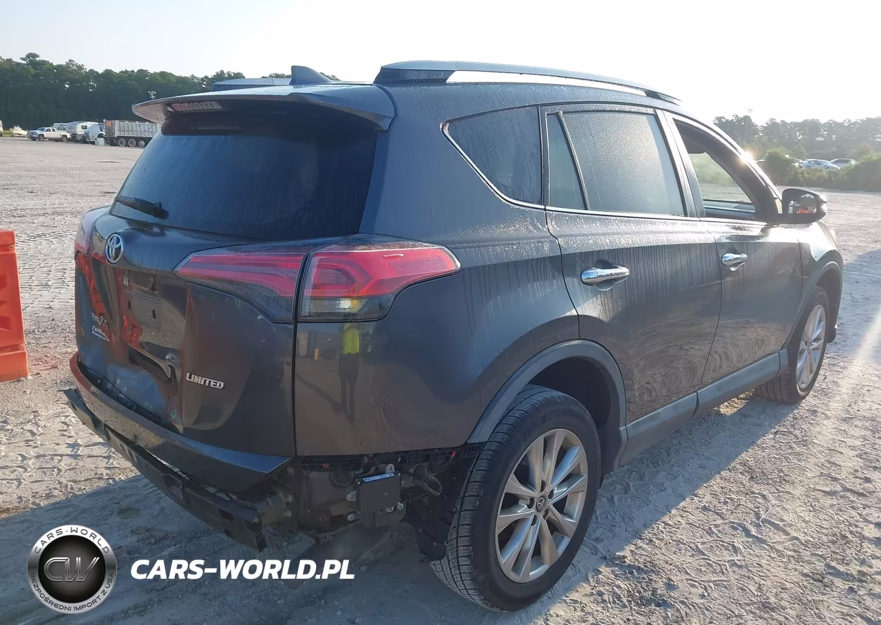 2017 Toyota Rav4 Limited VIN:2T3YFREV4HW396676 - 4