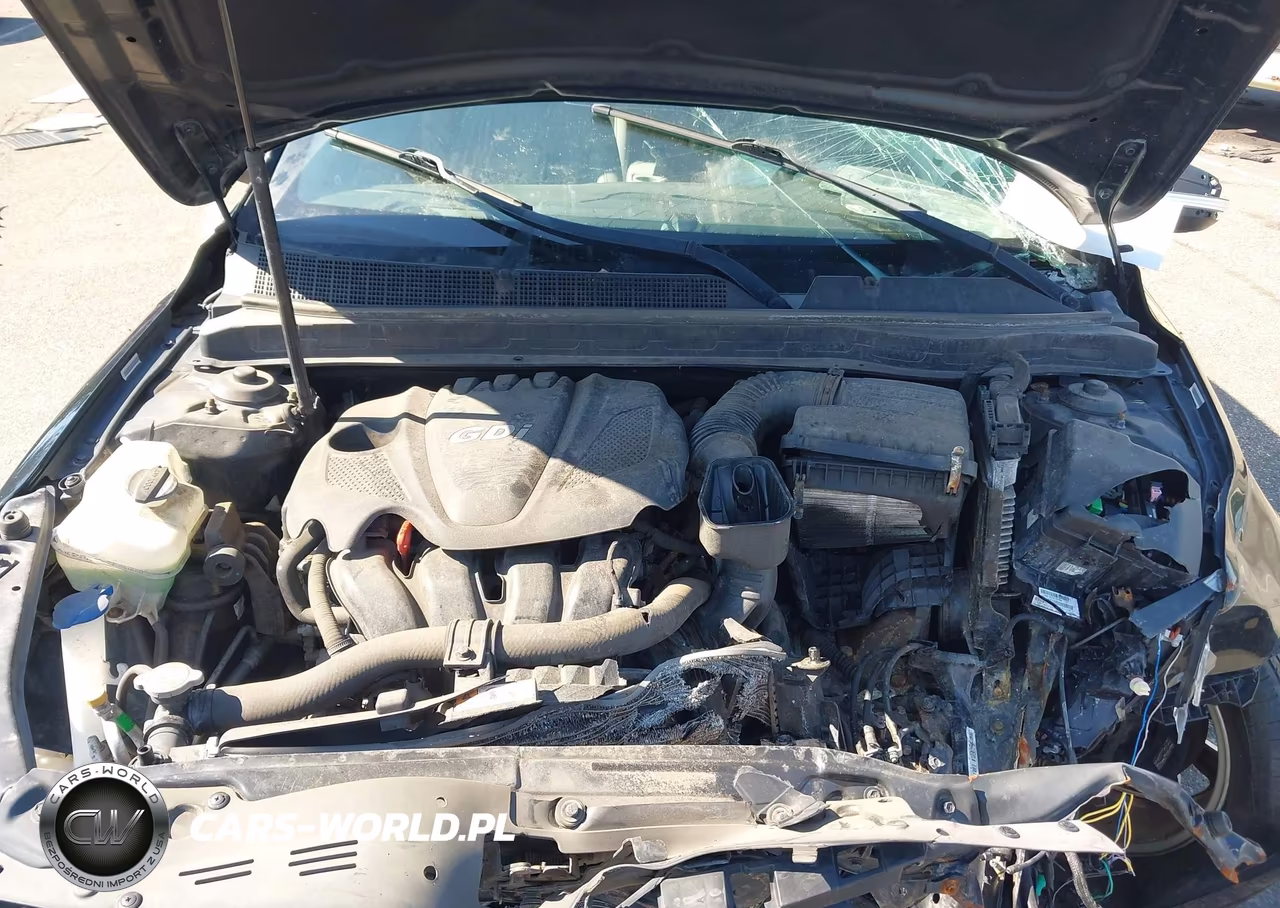 2015 Kia Optima Ex VIN:5XXGN4A73FG385712 - 10