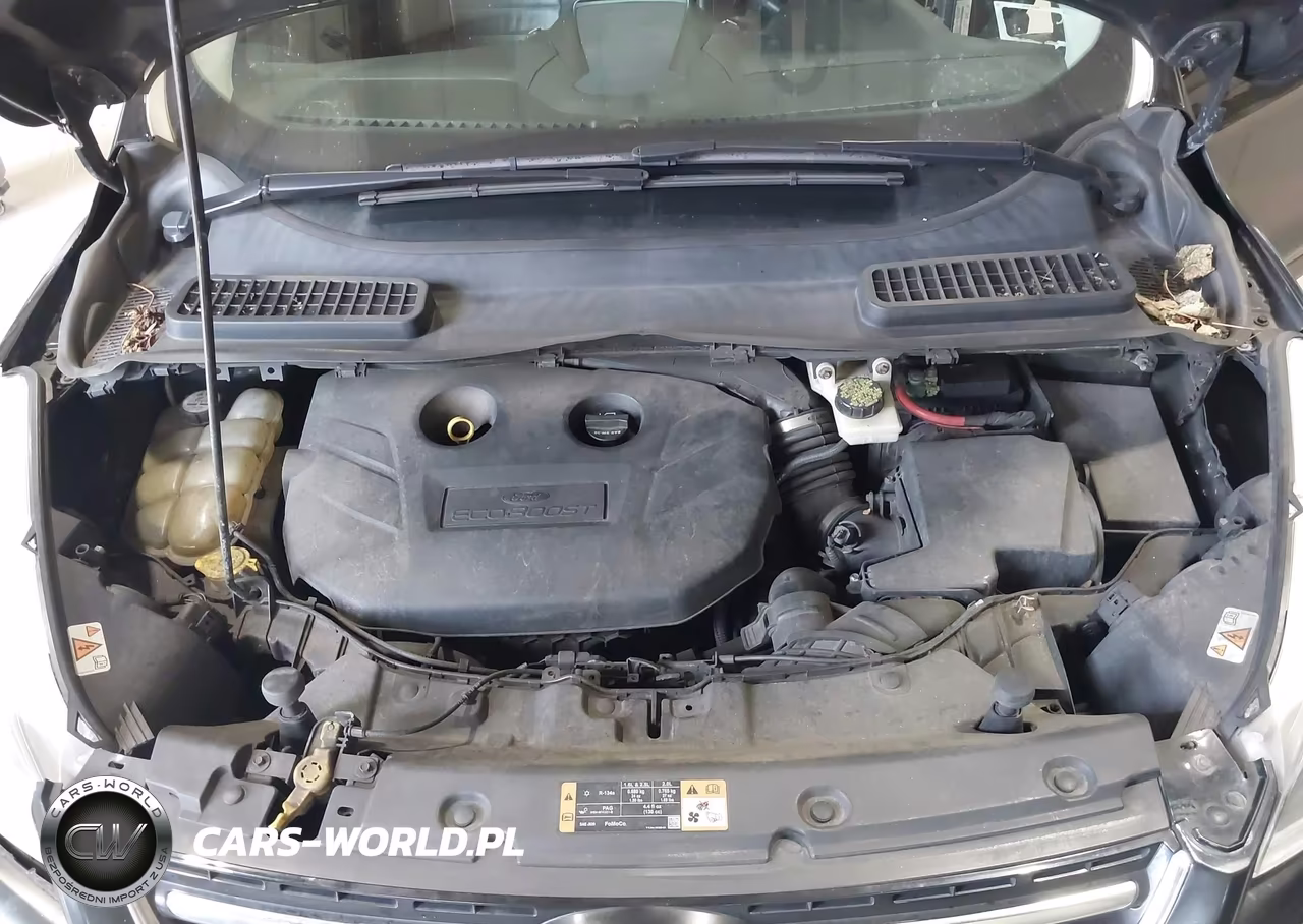 2014 Ford Escape Titanium VIN:1FMCU9J99EUC35124 - 10