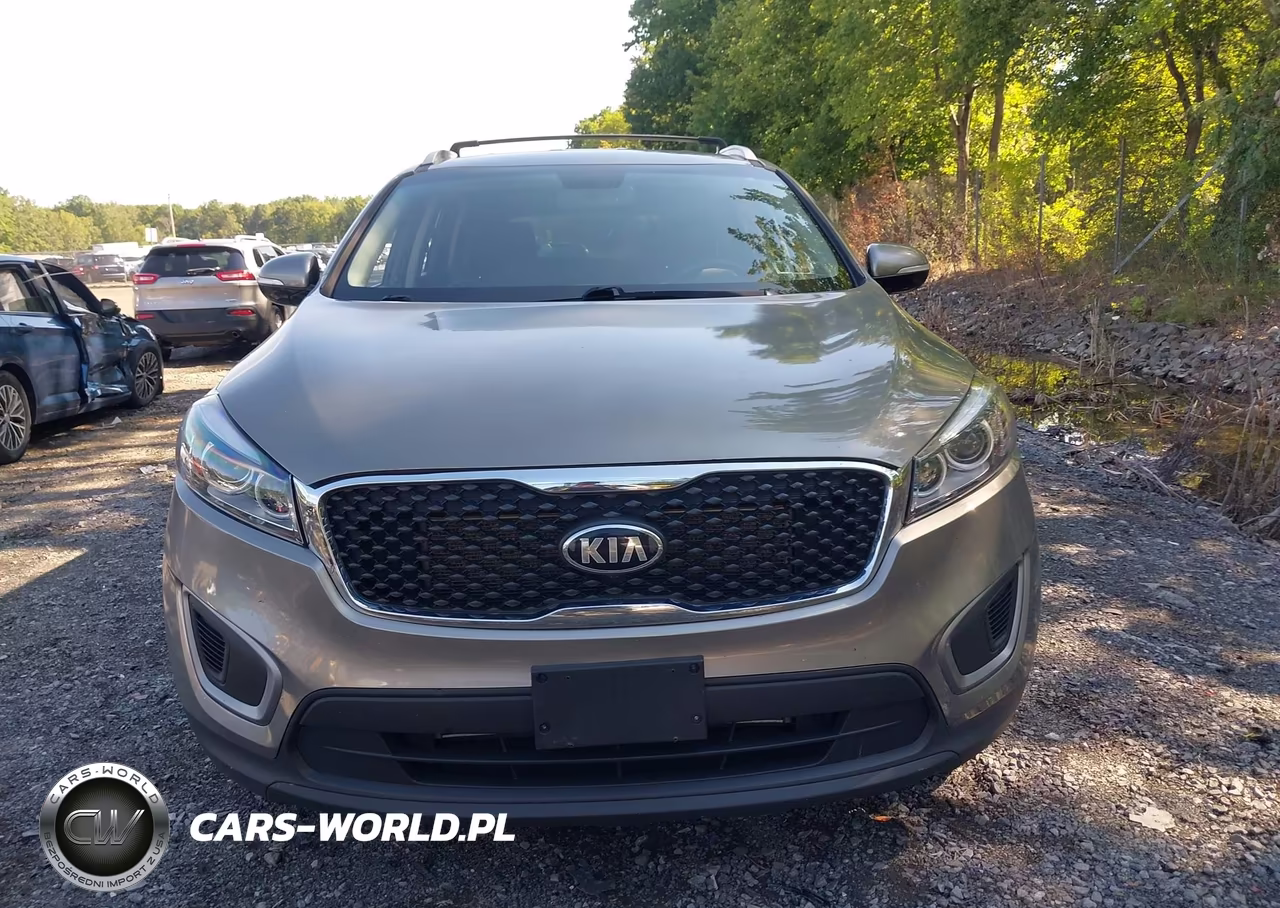 2016 Kia Sorento 2.4L Lx VIN:5XYPGDA36GG057785 - 12