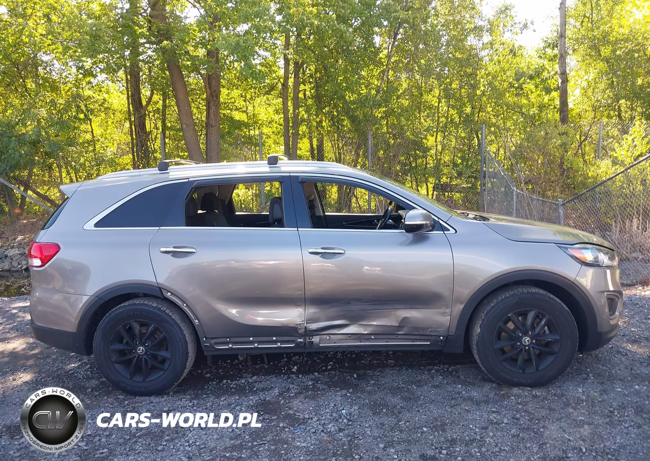 2016 Kia Sorento 2.4L Lx VIN:5XYPGDA36GG057785 - 13