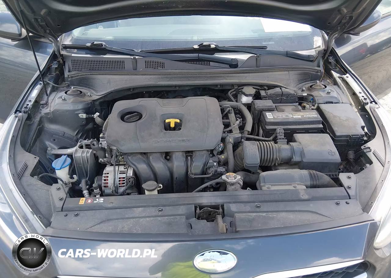2019 Kia Forte Lxs VIN:3KPF24AD1KE115701 - 10