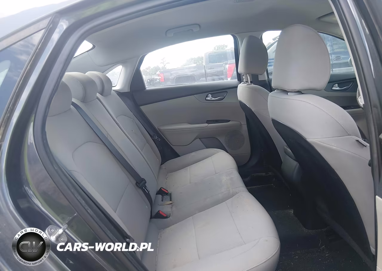 2019 Kia Forte Lxs VIN:3KPF24AD1KE115701 - 8