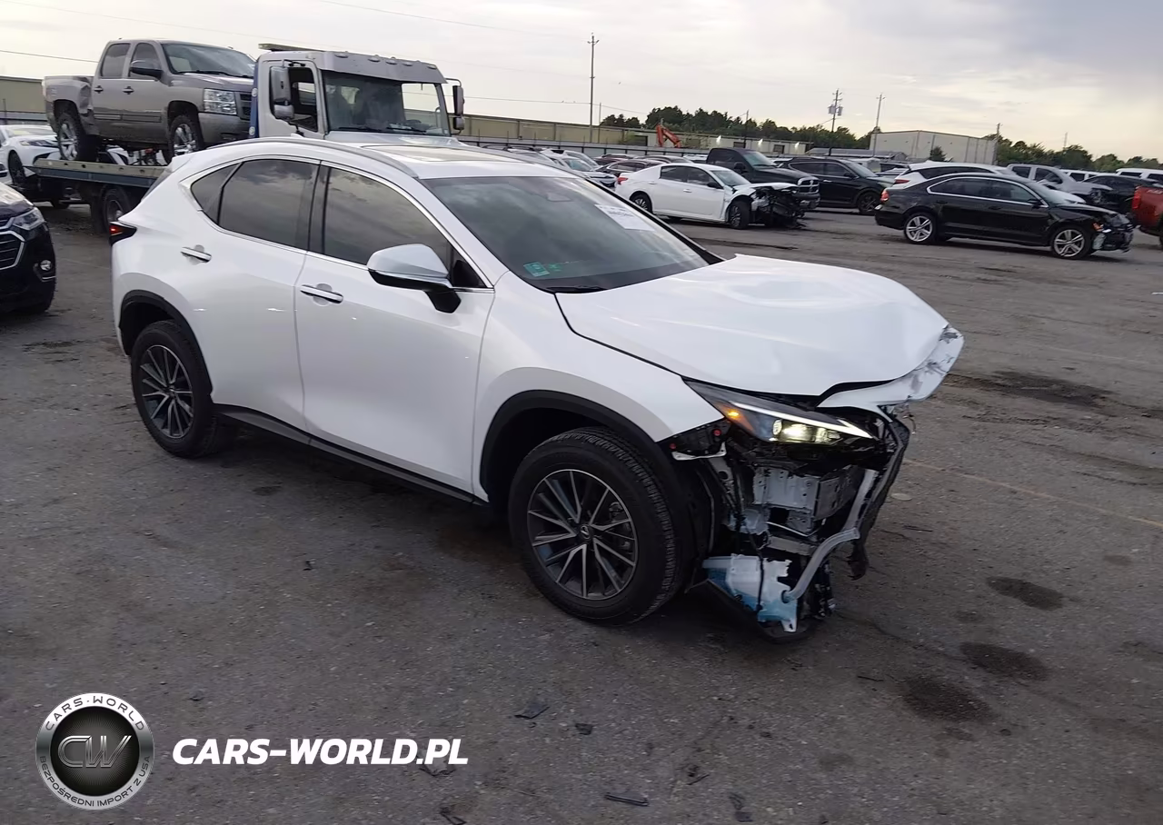 2025 Lexus Nx 250 Premium VIN:2T2GDCAZ1SC027827 - 1