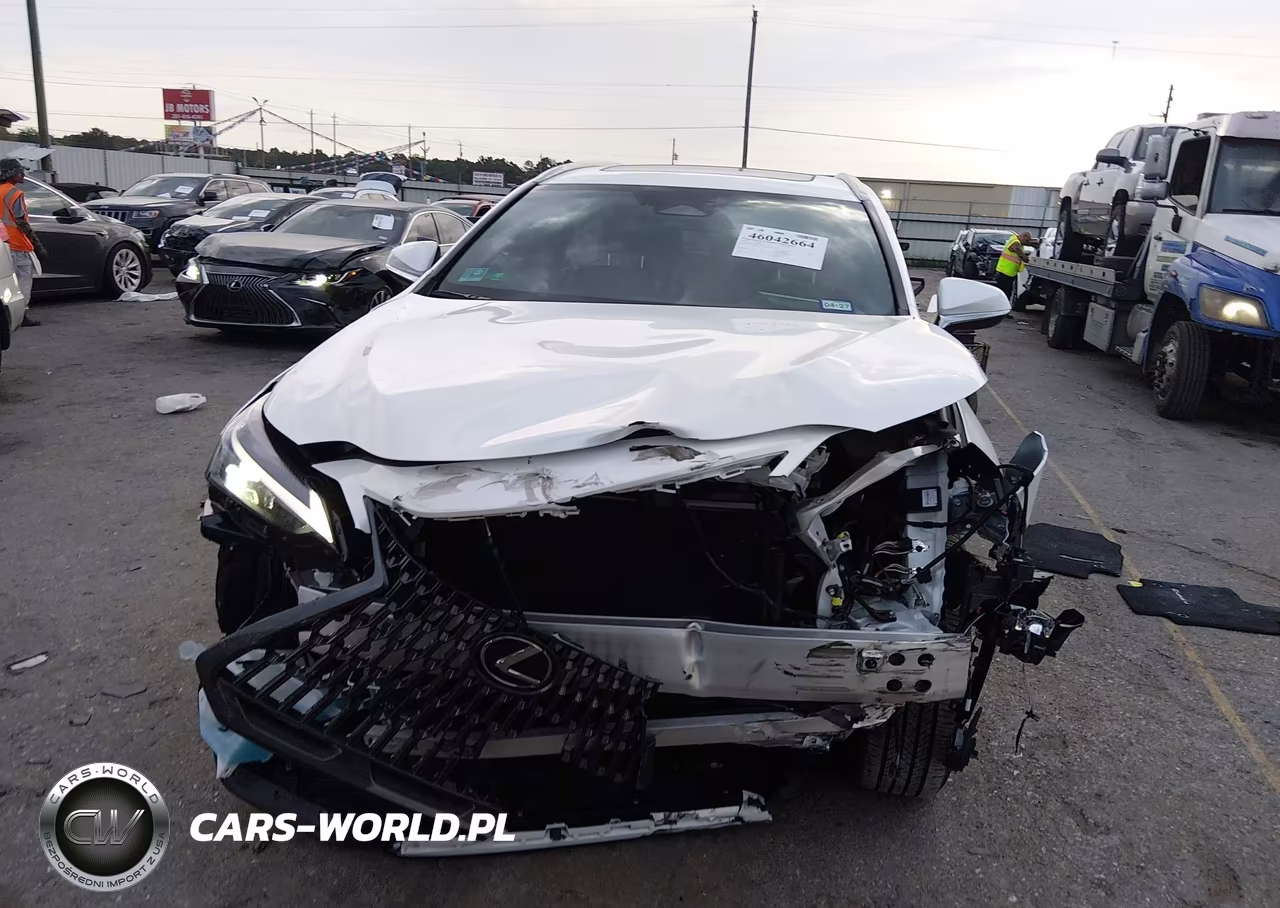 2025 Lexus Nx 250 Premium VIN:2T2GDCAZ1SC027827 - 12