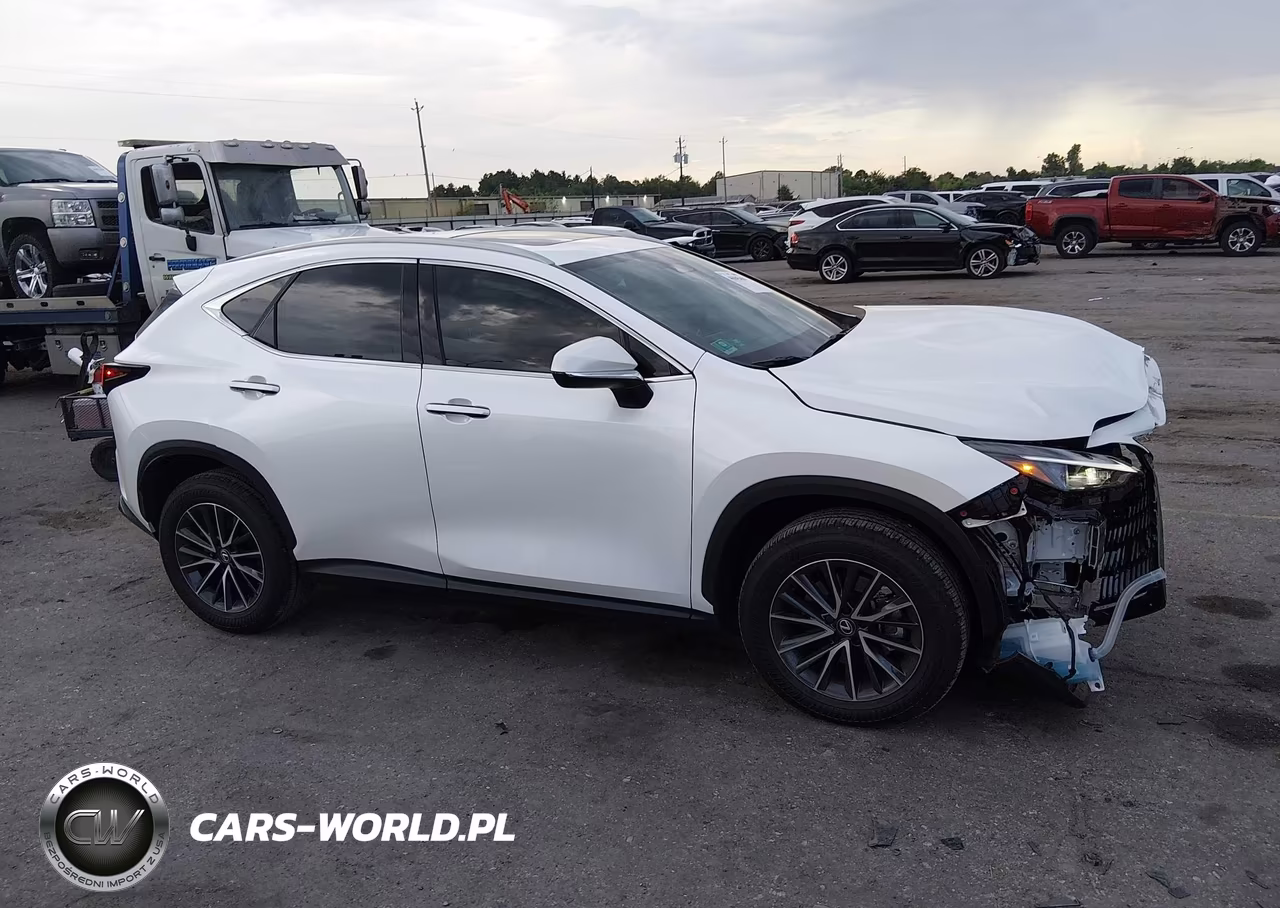 2025 Lexus Nx 250 Premium VIN:2T2GDCAZ1SC027827 - 13