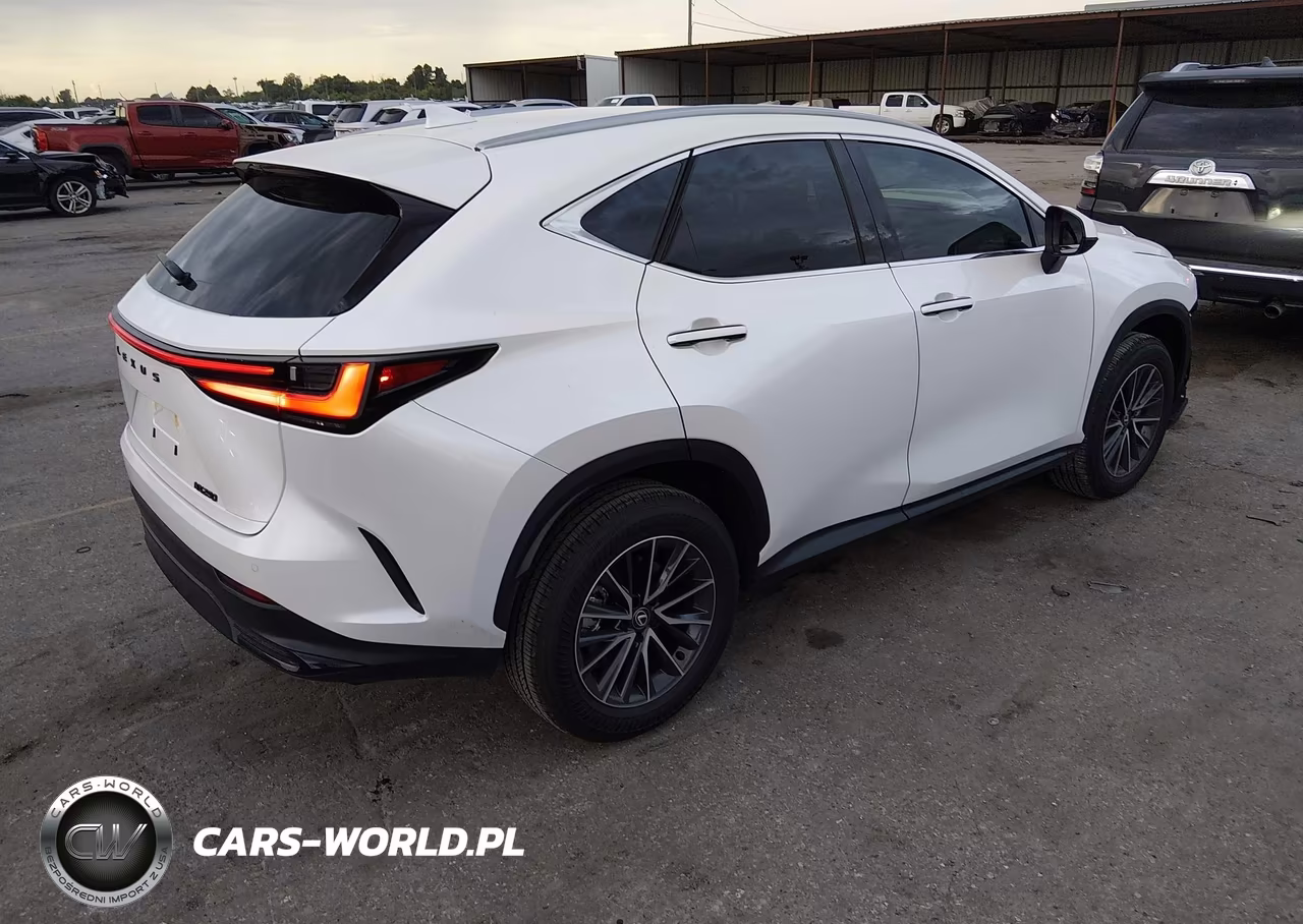 2025 Lexus Nx 250 Premium VIN:2T2GDCAZ1SC027827 - 4